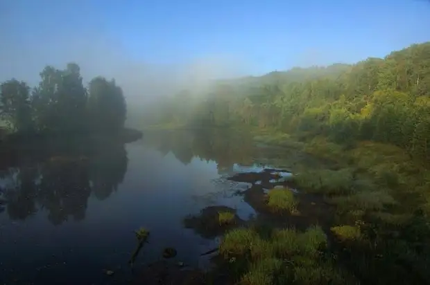 Вепсский лес Вепсский лес Вепский лес, Ленинградская область, природа, туризм