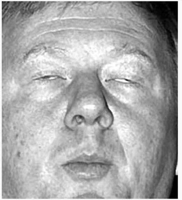 Чубайс. Электрический пес