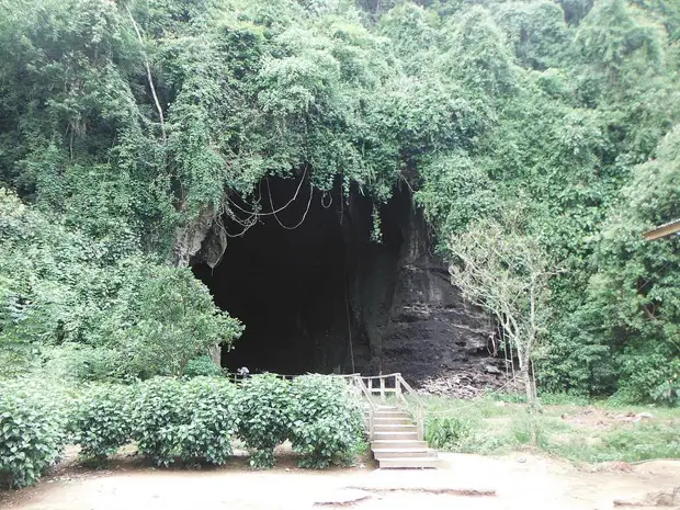 Пещера, где добывают ласточкины гнезда