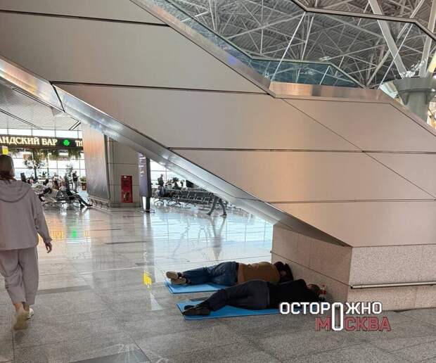 Во Внуково пассажиры рейса из Москвы в Стамбул ждут вылета более 16 часов
