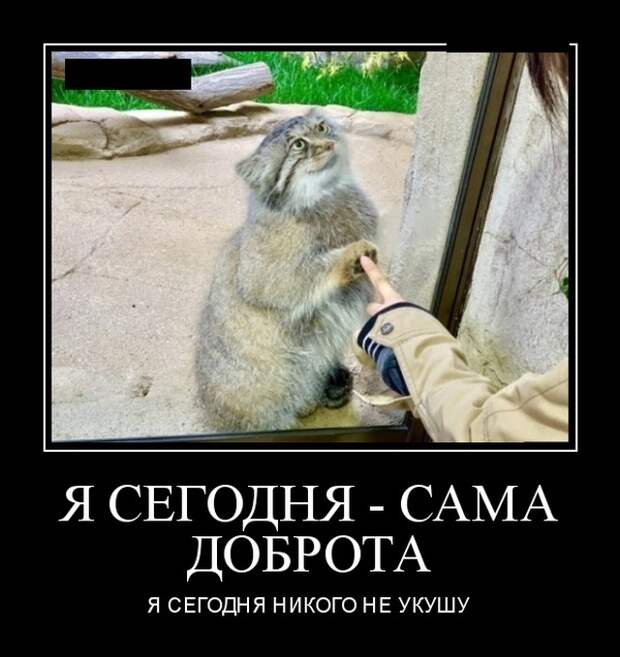 Демотиваторы (30 фото)