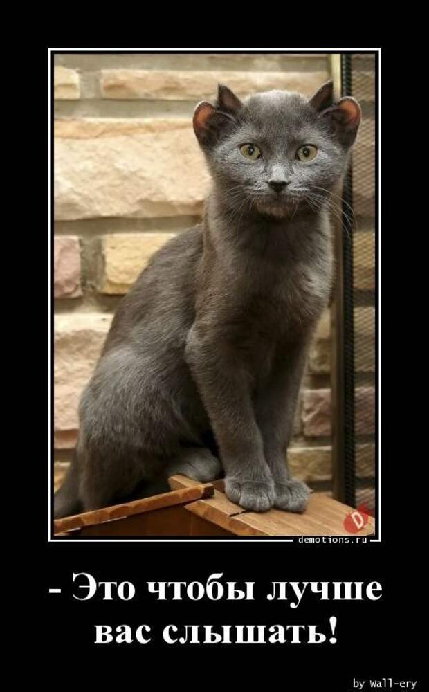 demotivatory-demotivator-smeshnye-demotivatory-demotivator-so-smyslom