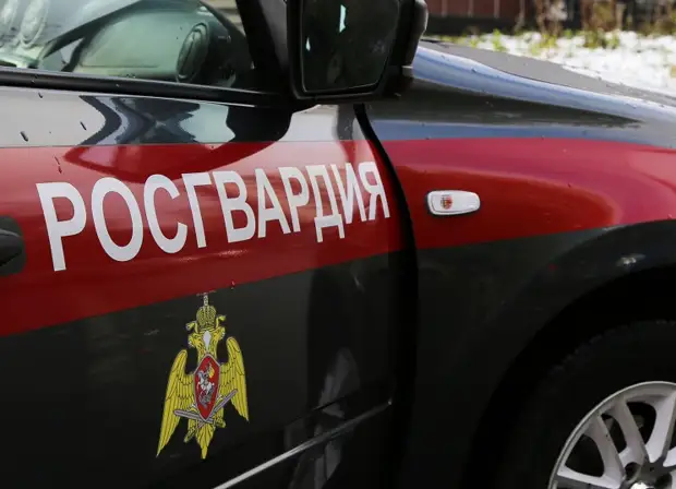 Гвардейцы России при захвате Запорожской АЭС нашли большой арсенал оружия