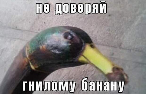 ПОЗИТИВНЫЙ ПОСТ+203