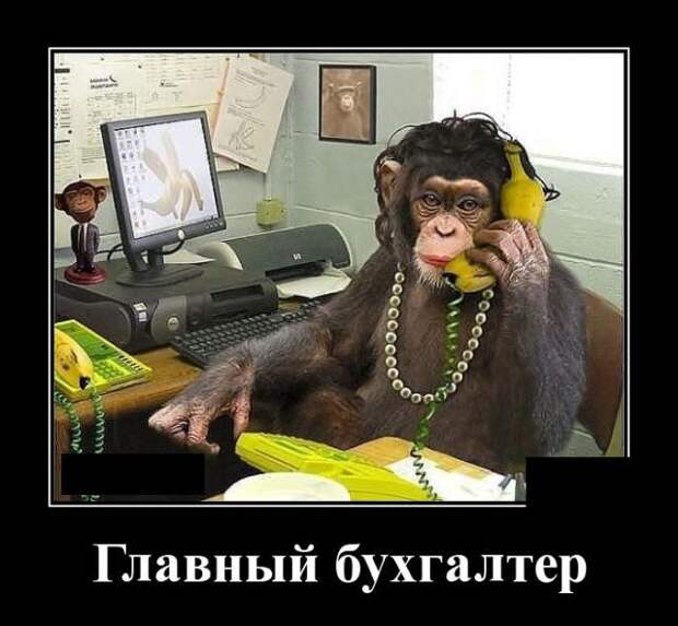 www.vsyako.net