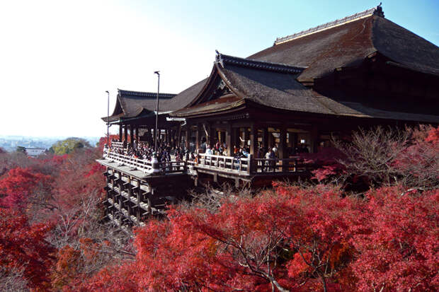 Kiyomizu-dera_in_Kyoto-r (800x566, 483Kb)
