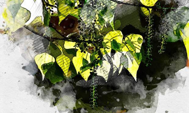 В Орловской области март на выходных продолжит удивлять апрельским теплом