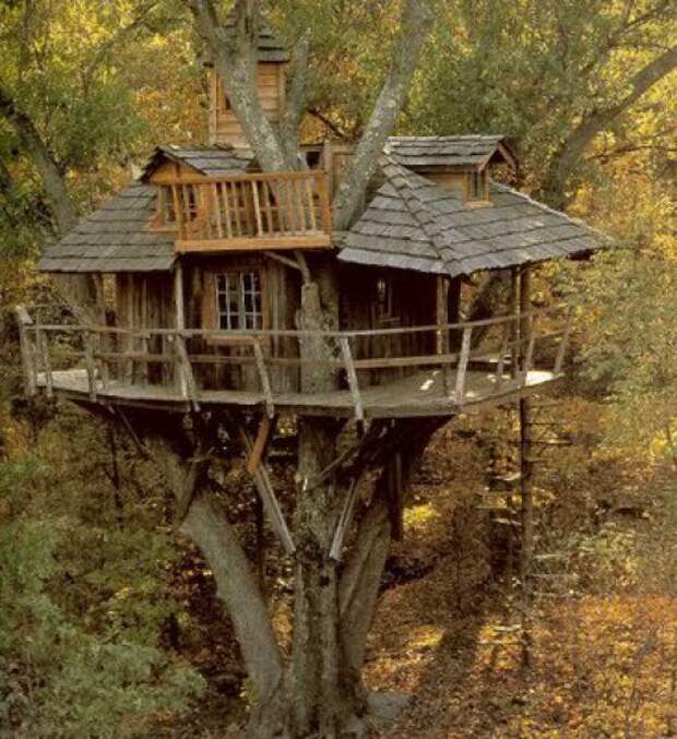 Фантистические дома на деревьях