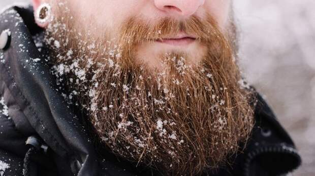 10 интересных фактов о бороде