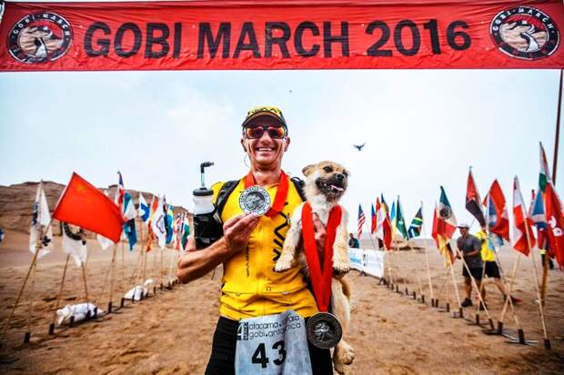 stray-dog-joins-race-gobi-dion-leonard-china-9