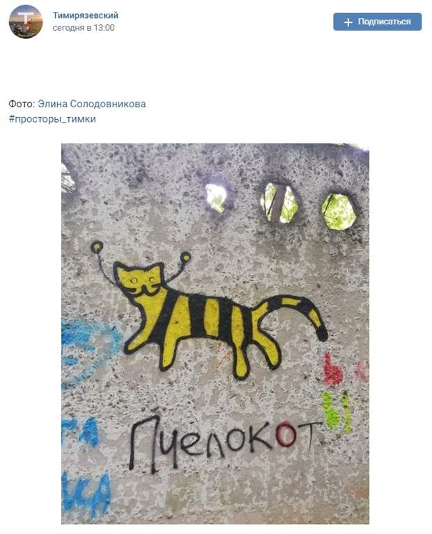 Фото дня: в Тимирязевском лесу заметили «пчелокота»