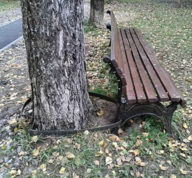 Скамейка на привязи.