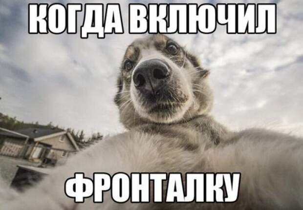Анекдоты в пятницу (19 шт)