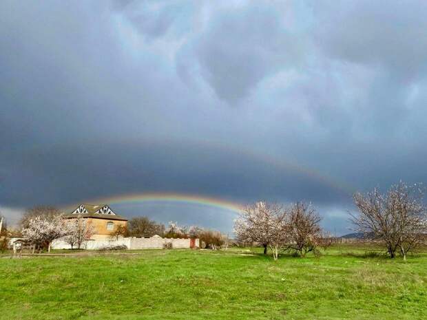 Донецкая группа новостей, Донецк ДНР