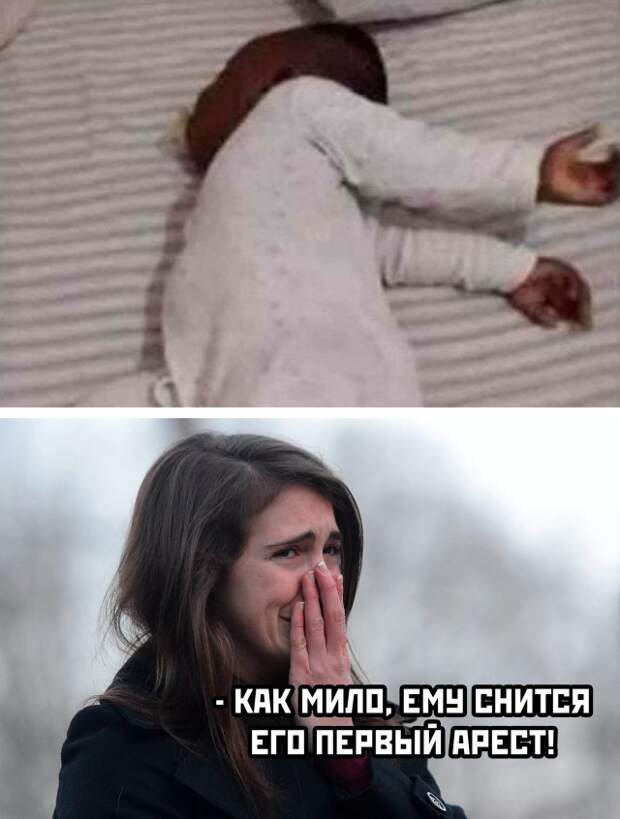 Смешные картинки 31 декабря 2021 года