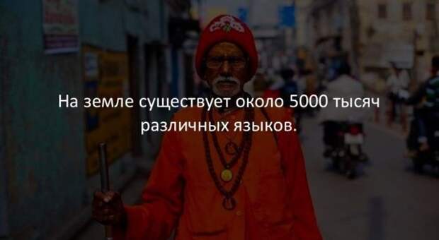 Интересные факты