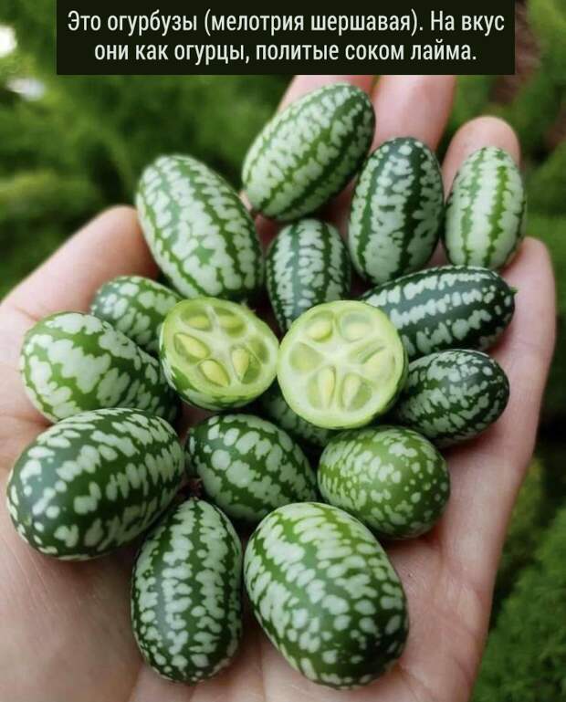 4.