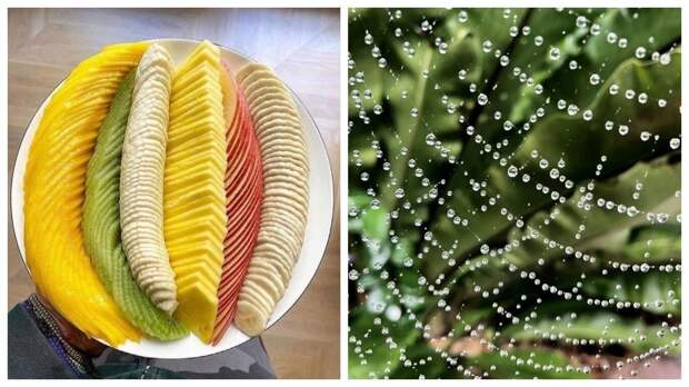 40 отборных картинок для того, чтобы немного отвлечься