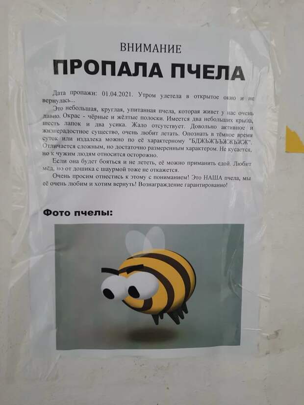 Объявления, которые могли придумать только люди из России