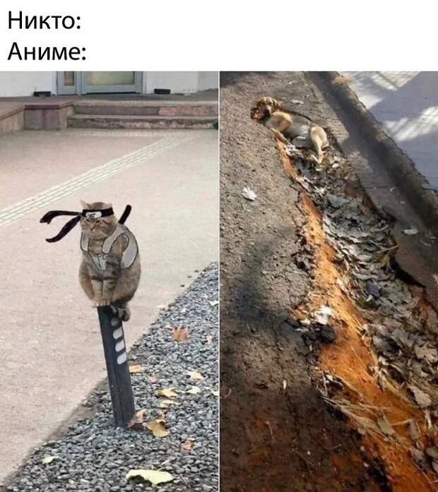 1592603763_lol-35.jpg