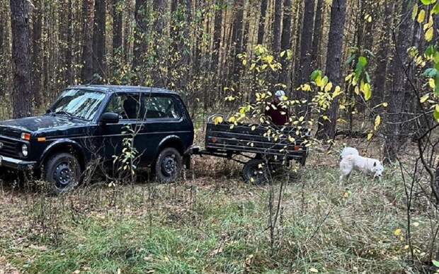 Водитель выгрузил прицеп мусора на тропе Паустовского под Рязанью