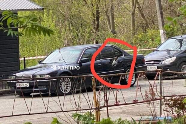 Украинский БПЛА-перехватчик влетел в BMW, пытаясь сбить "Герань"