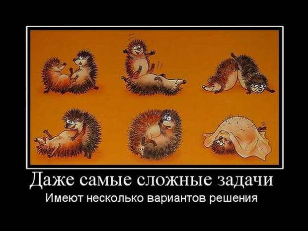 Демотиваторы (30 фото)