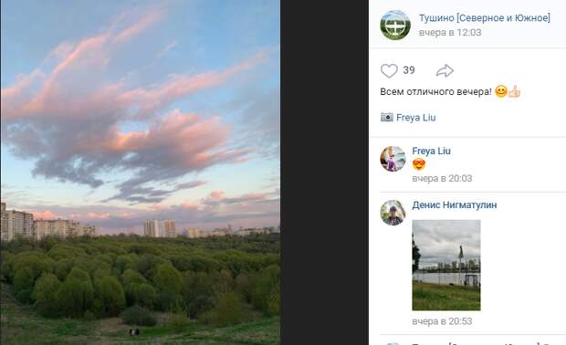 Фото дня: зелёный чудо-остров в Тушине