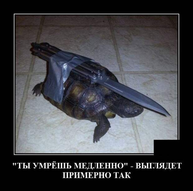 Демотиваторы