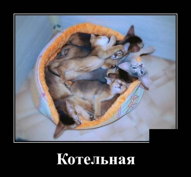 Демотиваторы (30 фото)