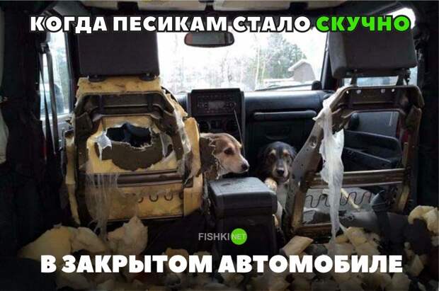 Свежая подборка автоприколов авто, автоприколы, приколы