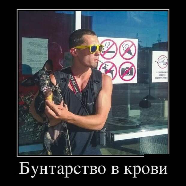 Демотиваторы (30 фото)