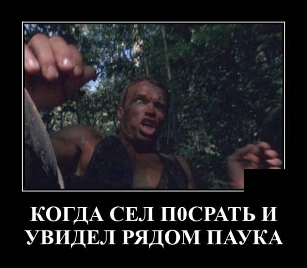 Демотиваторы 28 мая 2021