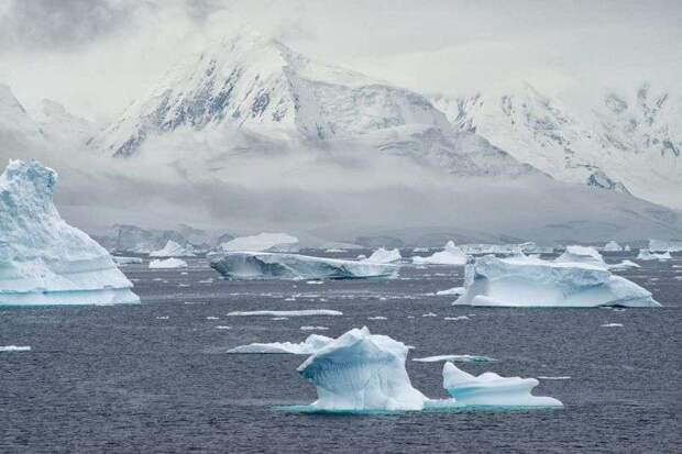 Ученые зафиксировали рекордно низкий для ноября уровень морского льда