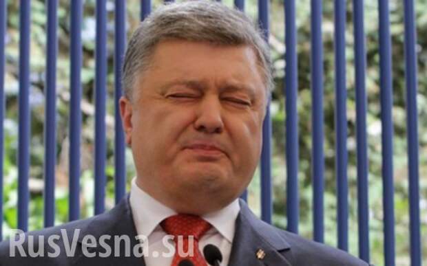 Порошенко обвинил Россию в построении «альтернативной Европы» | Русская весна