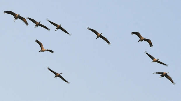 Куприянов день: что можно и нельзя делать 13 сентября