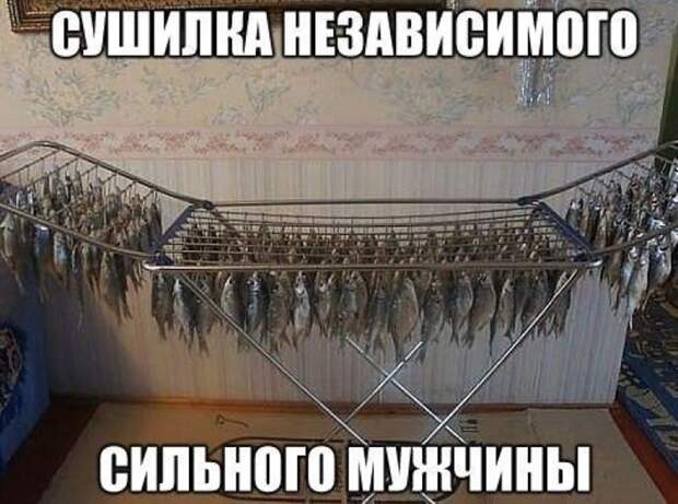 Смешная галерея фотоприколов # 132