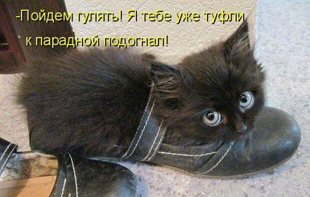 яяяя1111