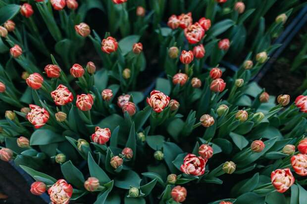 Когда во Владивостоке по-настоящему потеплеет