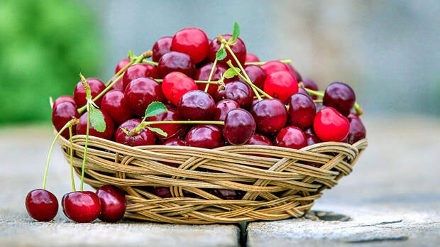 Чем полезны ягоды вишни: 6 удивительных свойств для здоровья
