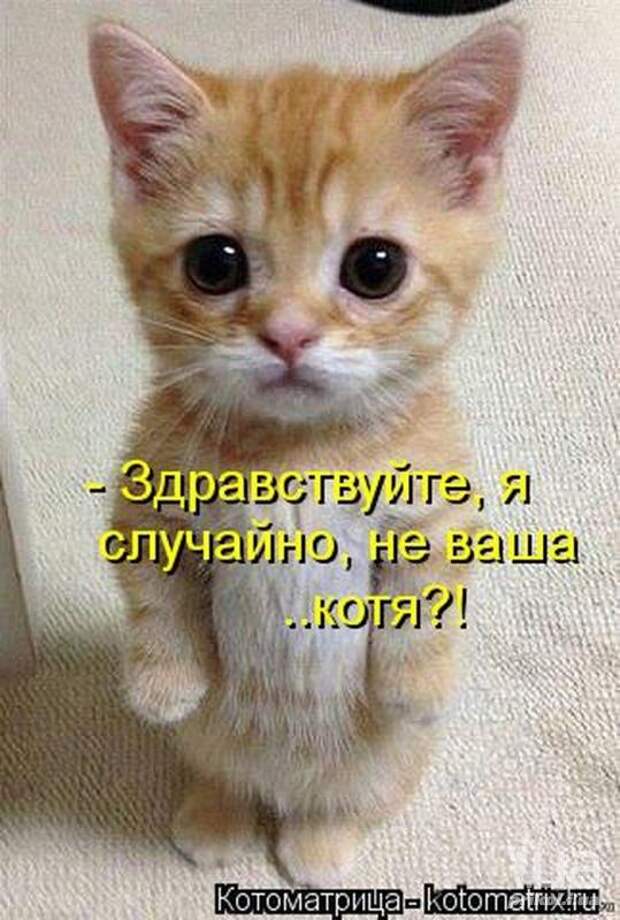 Симпатюли