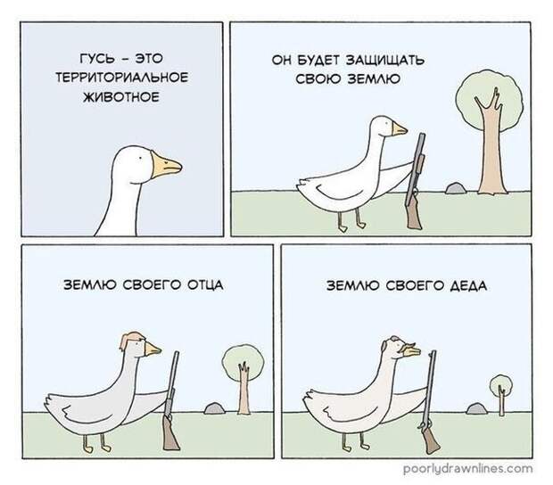 Забавные комиксы