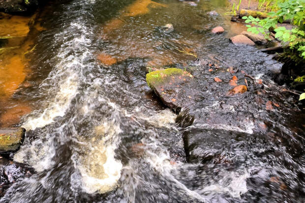 На Крещение в священном источнике в Кузбассе почернела вода: люди запаниковали