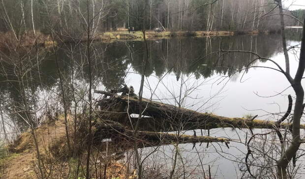 Реку Ворскла в Белгородской области начнут расчищать после нереста