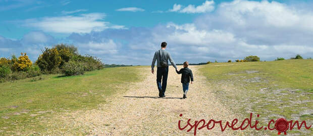 история о бывшей жене и сыне