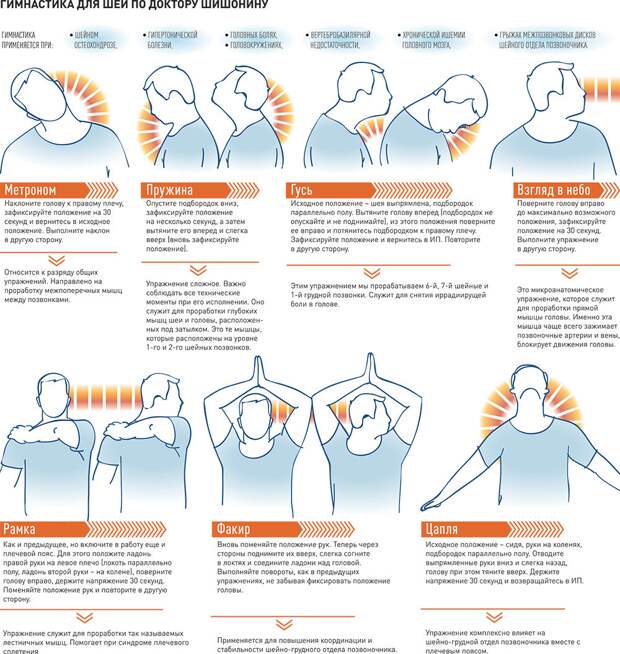 Шпаргалка по упражнениям для шеи, источник: Российская газета (rg.ru)