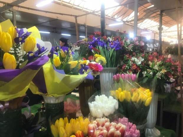 Опасный букет: какие цветы на 8 Марта могут вызвать аллергию и отравить кошку