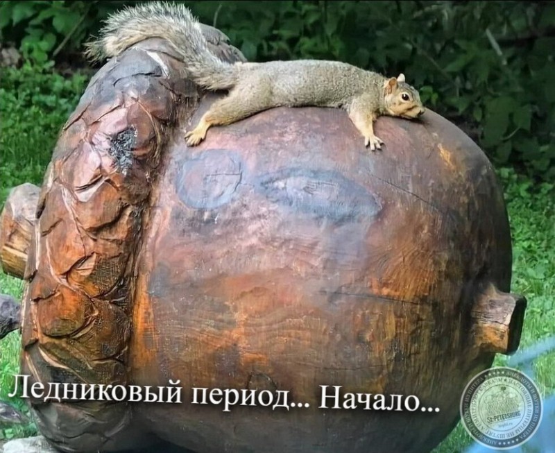 Ледниковый период… Начало…