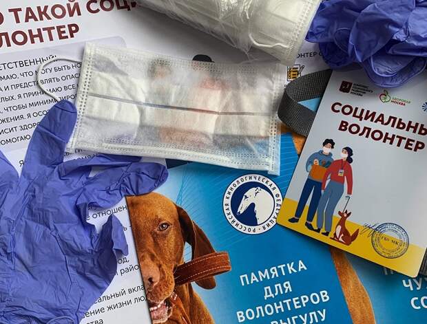 волонтеры