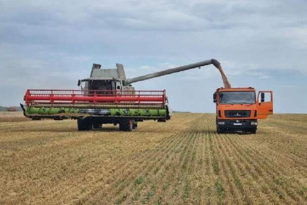 В Рассказовском округе продолжается уборочная кампания